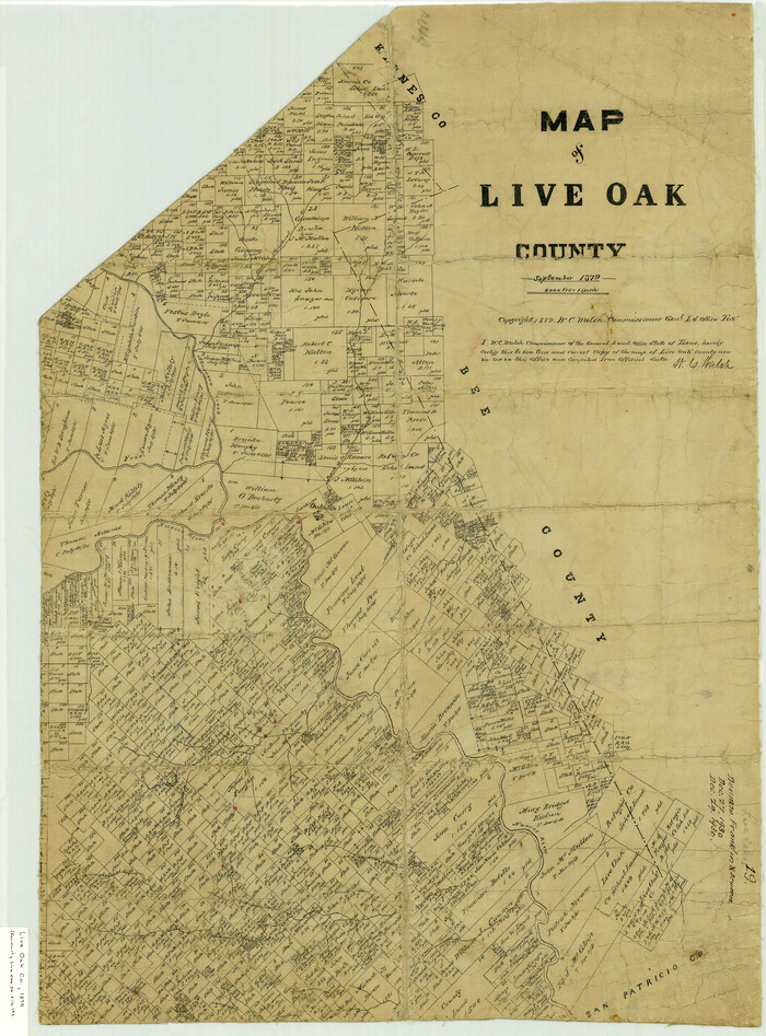 4580, Live Oak County Sketch File 19, General Map Collection