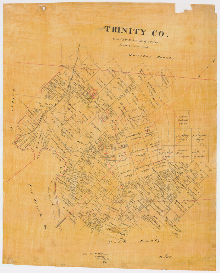 485, Trinity County, Texas, Maddox Collection