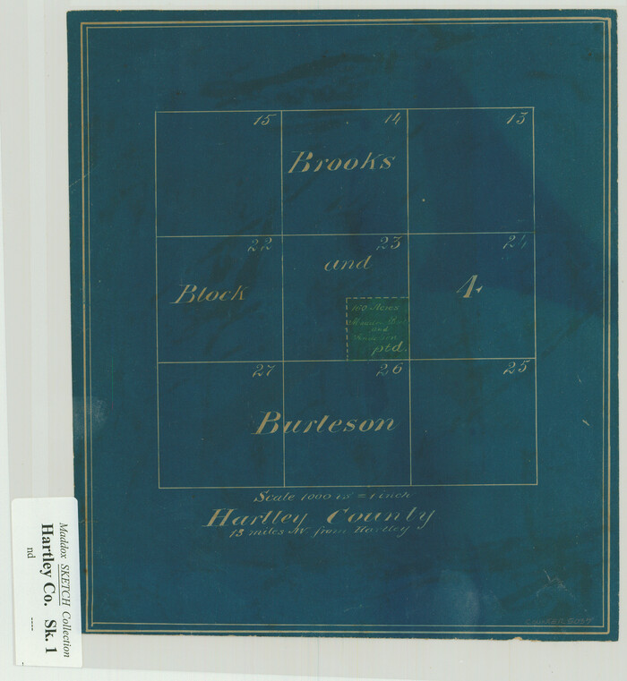 5037, [Brooks & Burleson Block 4, Hartley County], Maddox Collection