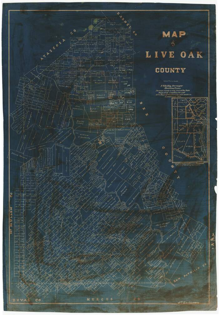 567, Map of Live Oak County, Texas, Maddox Collection
