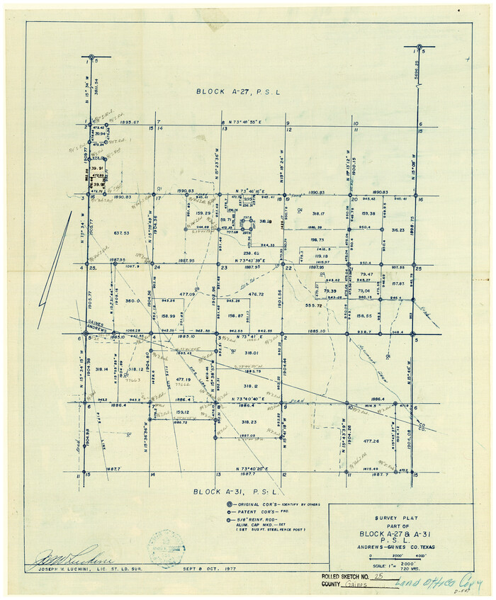 5939, Gaines County Rolled Sketch 25, General Map Collection