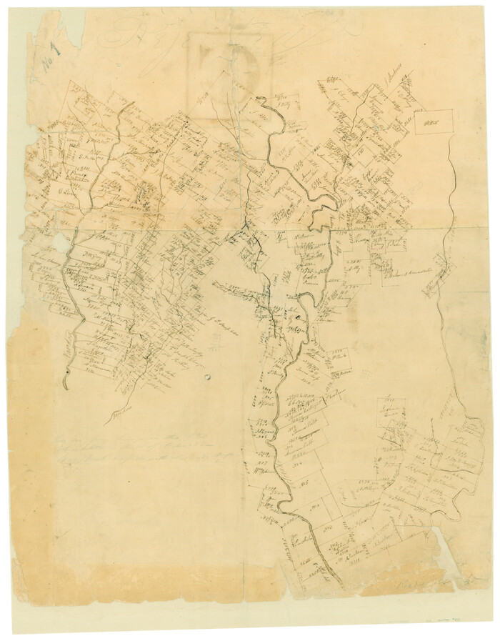 60, [Surveys along the Colorado and Navidad Rivers], General Map Collection