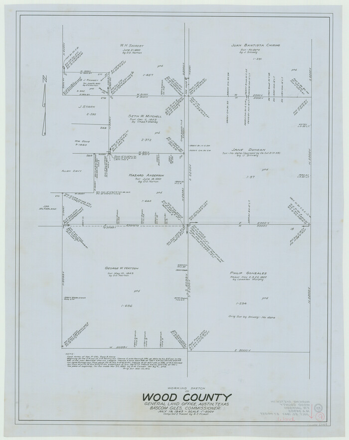 62009, Wood County Working Sketch 9, General Map Collection