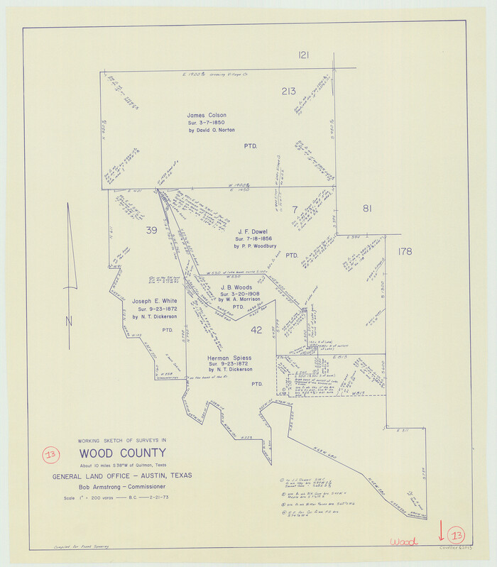 62013, Wood County Working Sketch 13, General Map Collection