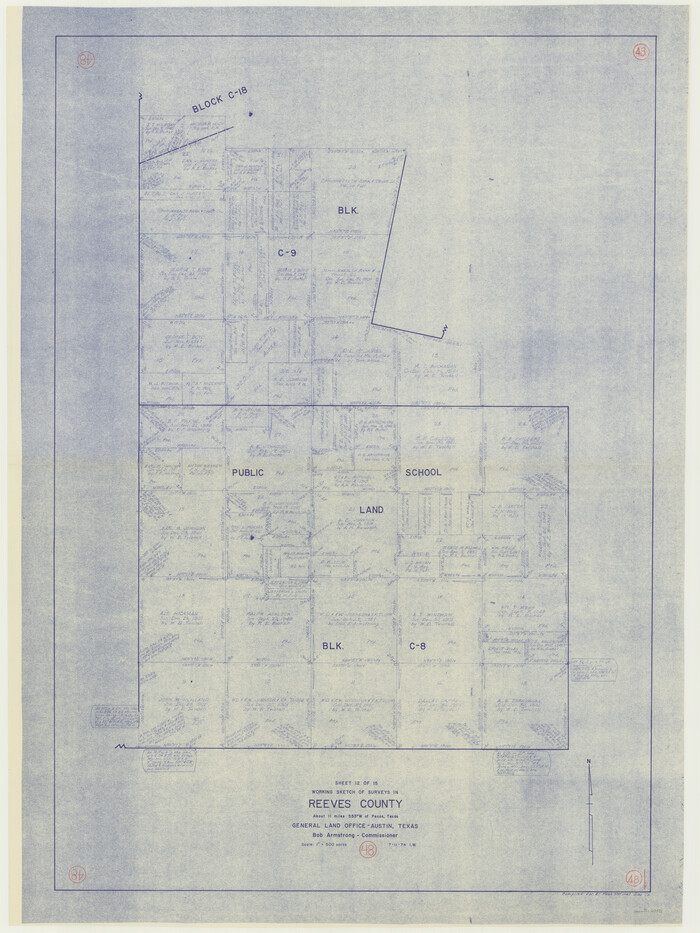 63491, Reeves County Working Sketch 48, General Map Collection