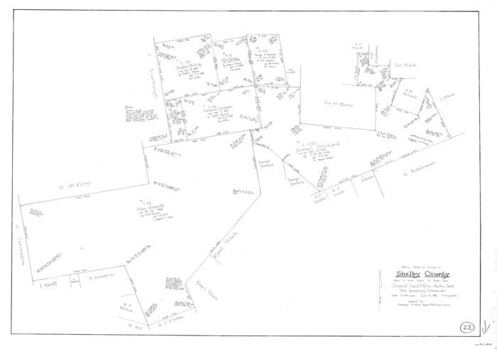 63875, Shelby County Working Sketch 22, General Map Collection