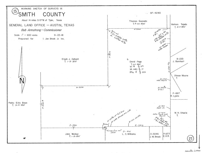 63900, Smith County Working Sketch 15, General Map Collection