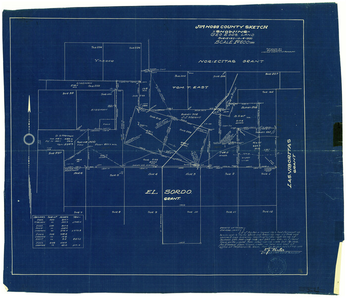 6445, Jim Hogg County Rolled Sketch F, General Map Collection
