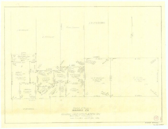 65947, Harris County Working Sketch 55, General Map Collection
