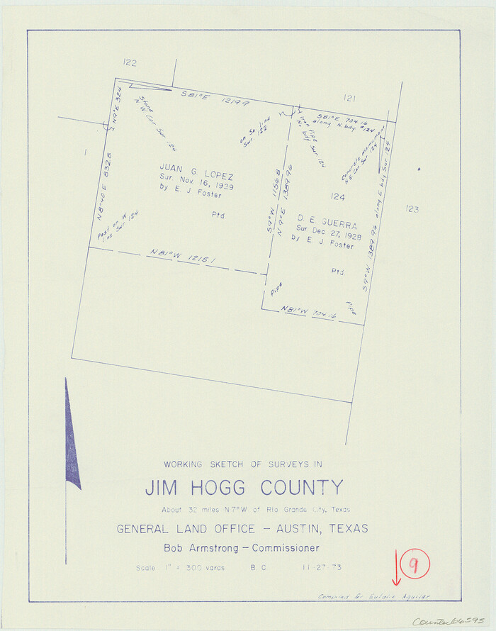 66595, Jim Hogg County Working Sketch 9, General Map Collection