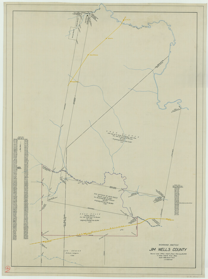 66602, Jim Wells County Working Sketch 4, General Map Collection