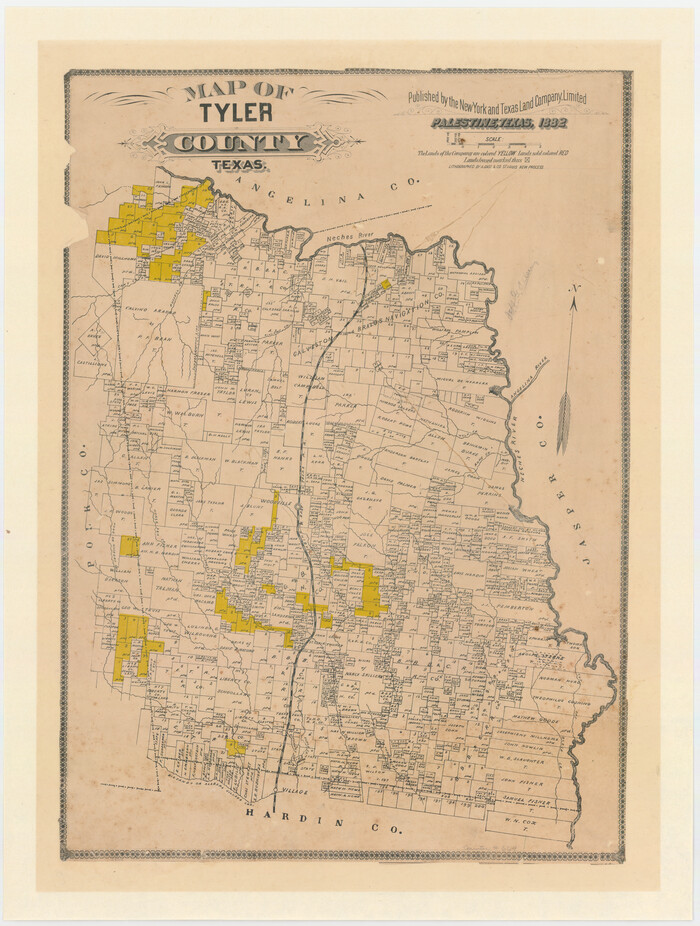 669, Map of Tyler County, Texas, Maddox Collection