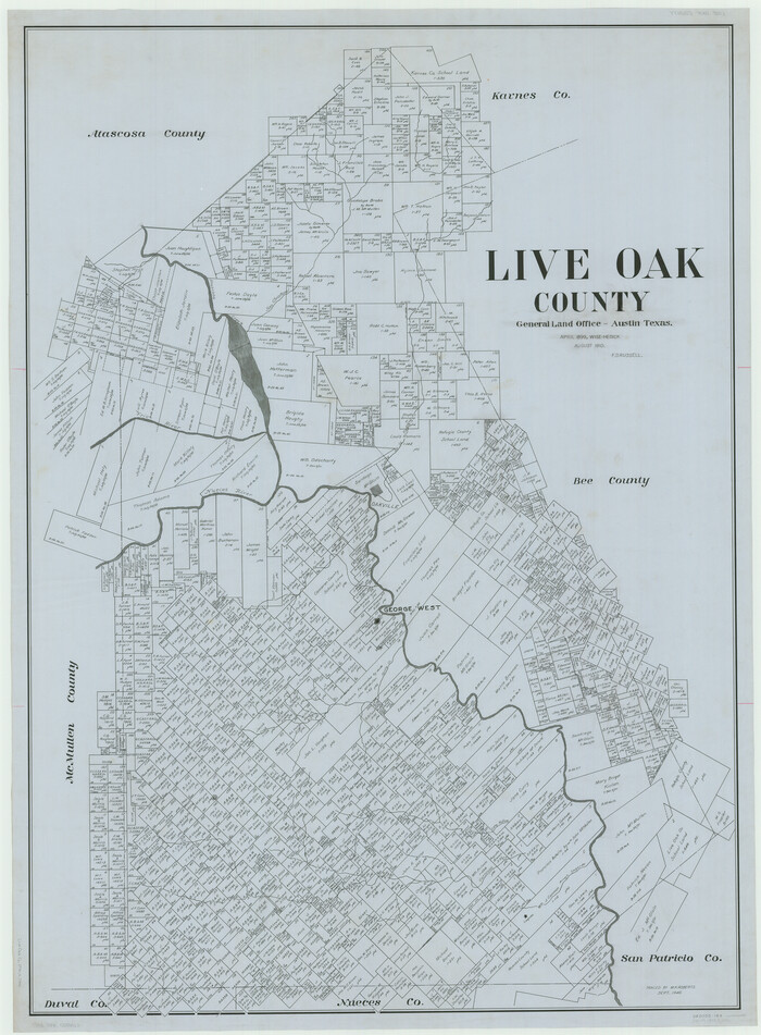 66905, Live Oak County, General Map Collection