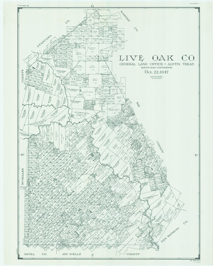 66906, Live Oak Co., General Map Collection