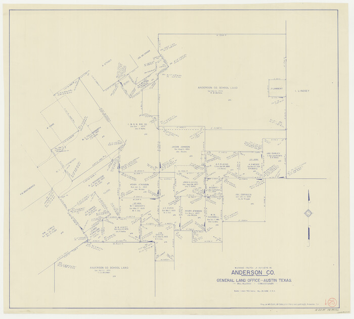 67025, Anderson County Working Sketch 25, General Map Collection