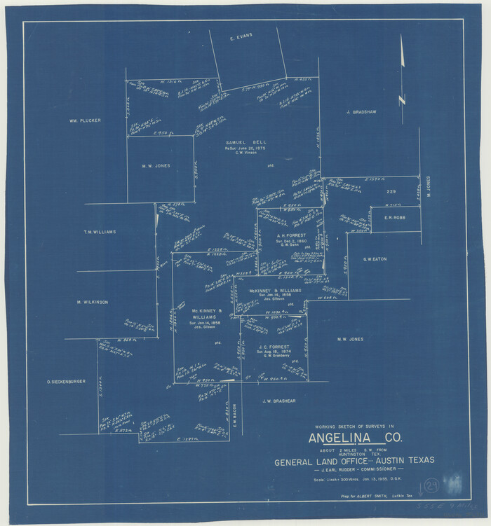 67111, Angelina County Working Sketch 29, General Map Collection