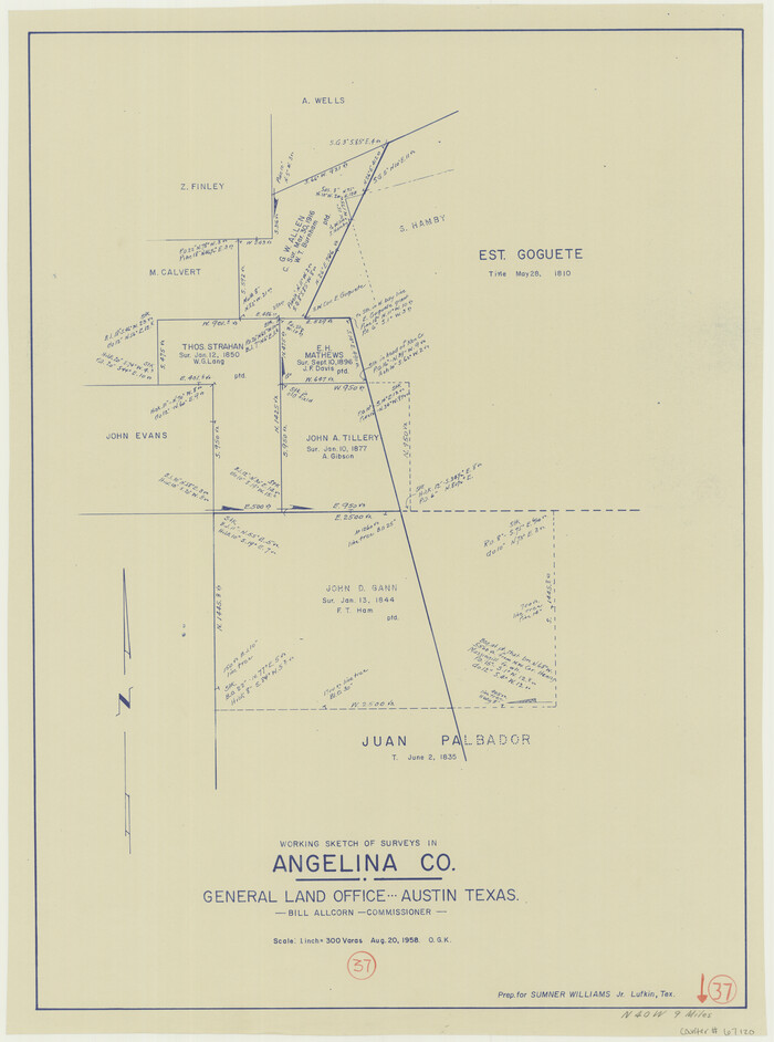 67120, Angelina County Working Sketch 37, General Map Collection