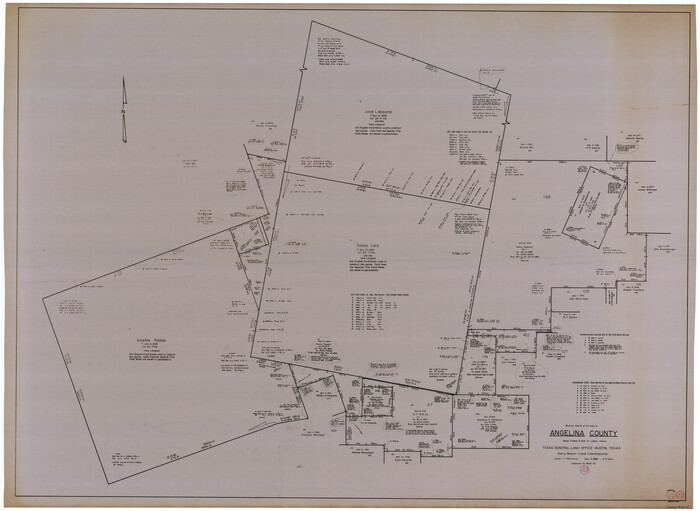67137, Angelina County Working Sketch 53, General Map Collection