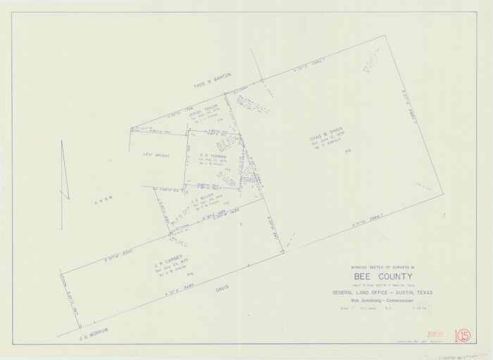 67265, Bee County Working Sketch 15, General Map Collection