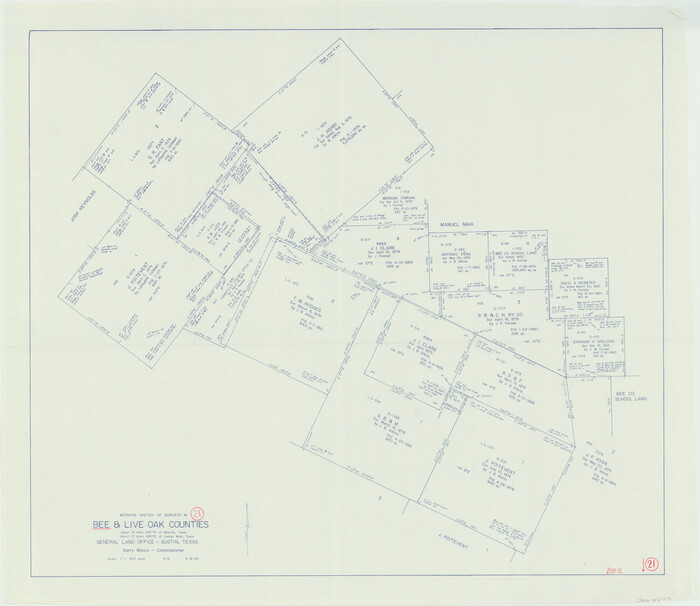 67271, Bee County Working Sketch 21, General Map Collection