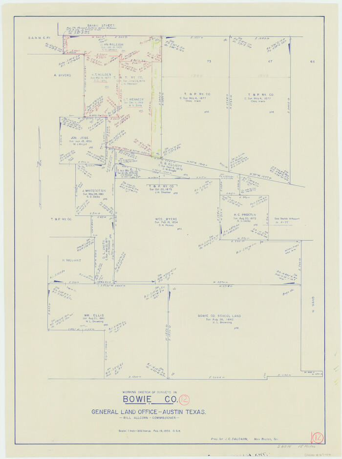 67416, Bowie County Working Sketch 12, General Map Collection