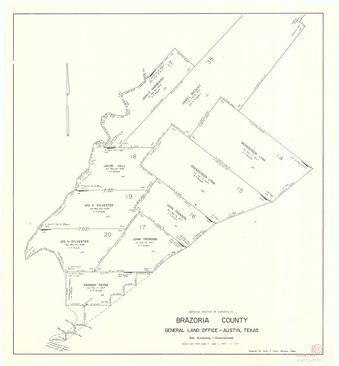67514, Brazoria County Working Sketch 29, General Map Collection