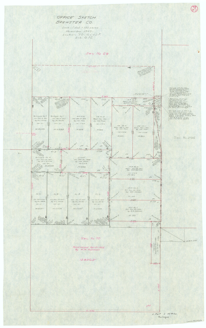 67568, Brewster County Working Sketch 34, General Map Collection