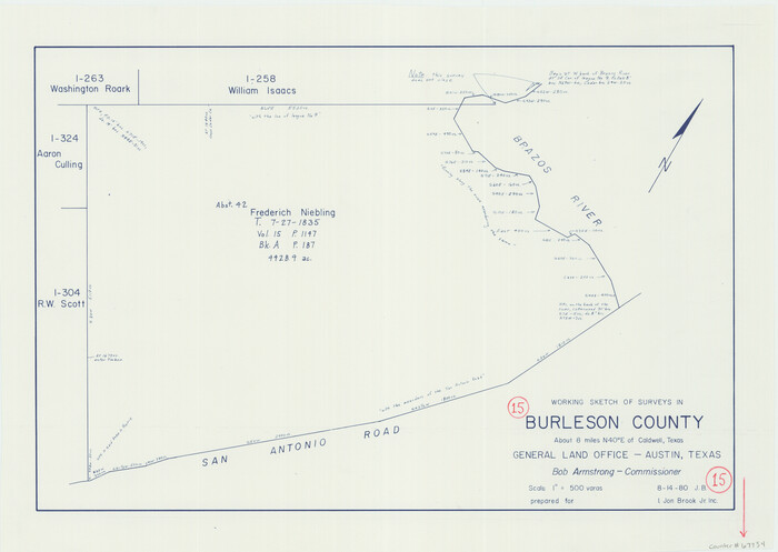 67734, Burleson County Working Sketch 15, General Map Collection