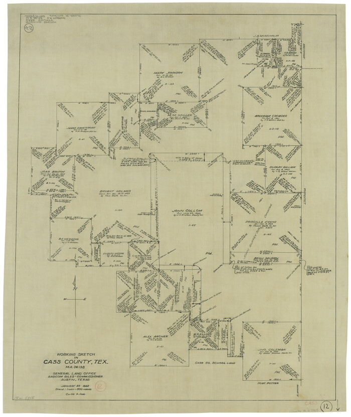 67915, Cass County Working Sketch 12, General Map Collection
