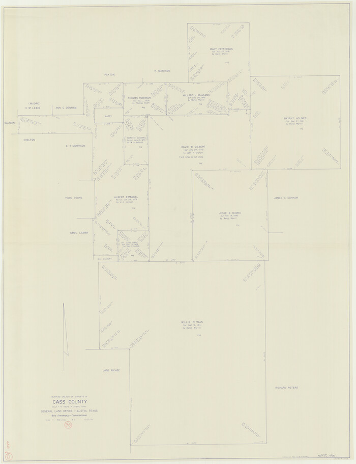 67928, Cass County Working Sketch 25, General Map Collection