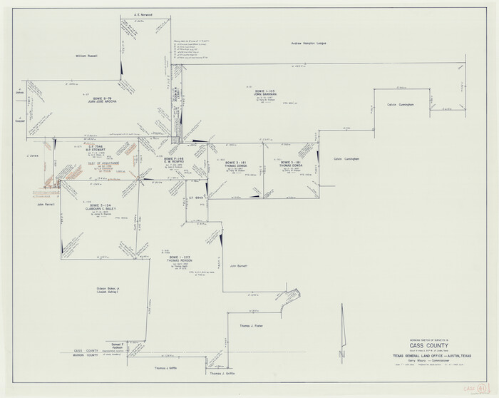 67944, Cass County Working Sketch 41, General Map Collection
