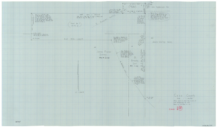 67951, Cass County Working Sketch 48, General Map Collection
