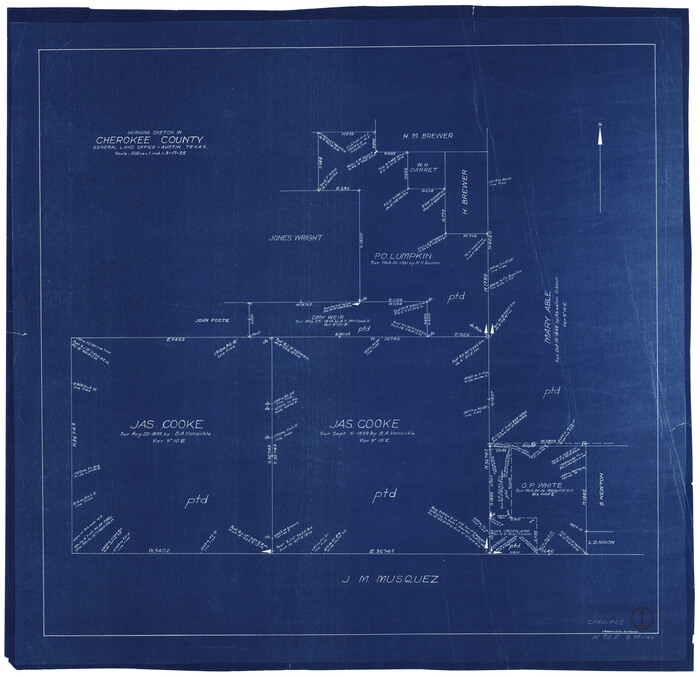 67956, Cherokee County Working Sketch 1, General Map Collection
