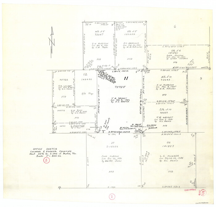 68016, Cochran County Working Sketch 5, General Map Collection