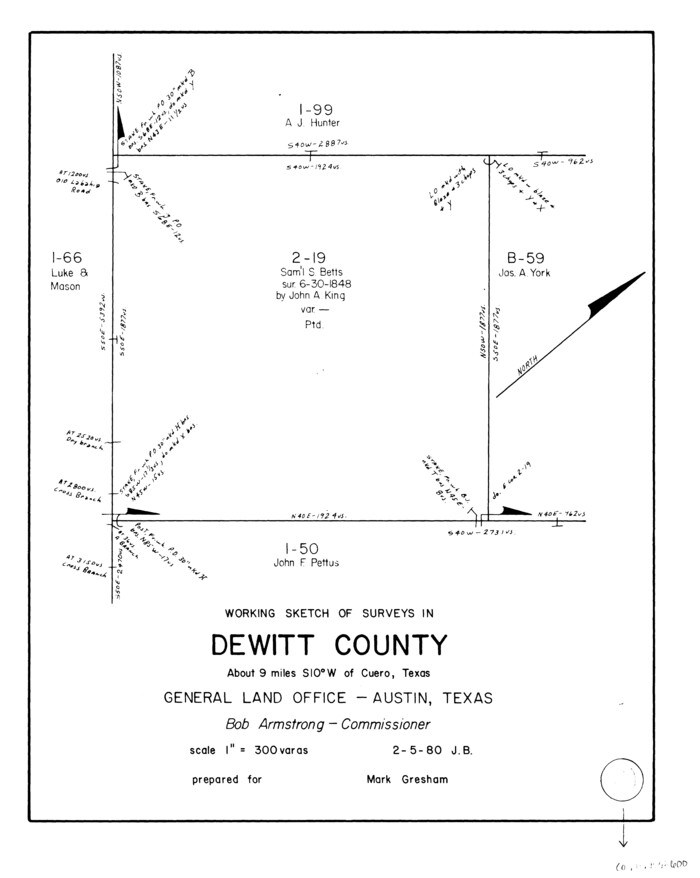 68600, DeWitt County Working Sketch 10, General Map Collection