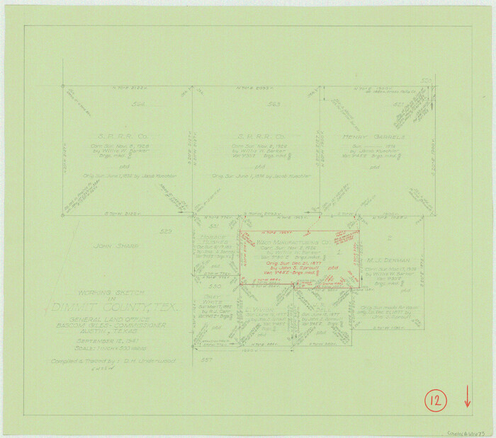 68673, Dimmit County Working Sketch 12, General Map Collection