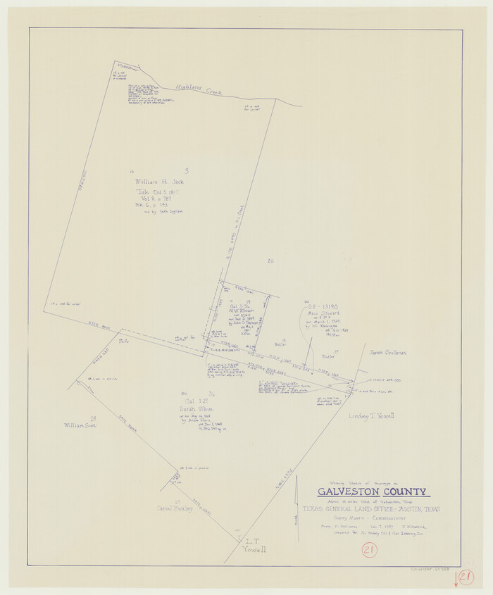 69358, Galveston County Working Sketch 21, General Map Collection