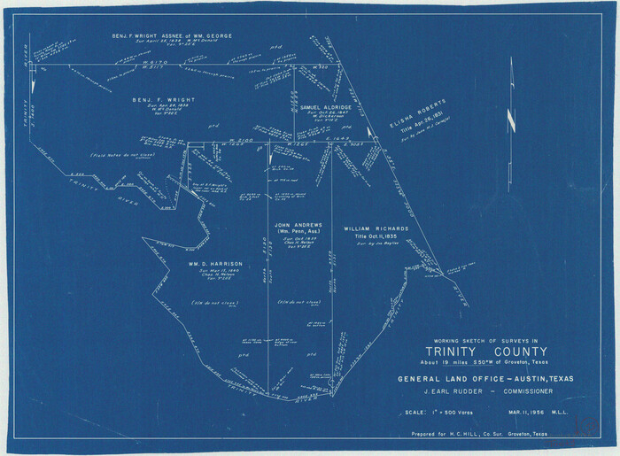 69462, Trinity County Working Sketch 13, General Map Collection