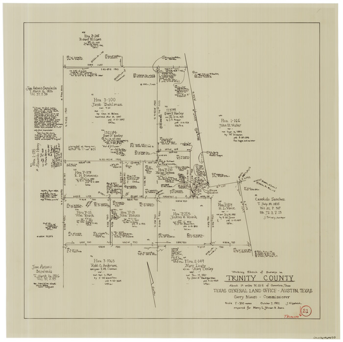 69470, Trinity County Working Sketch 21, General Map Collection
