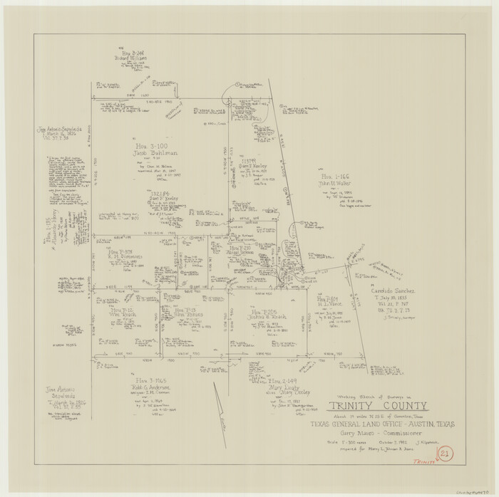 69470, Trinity County Working Sketch 21, General Map Collection