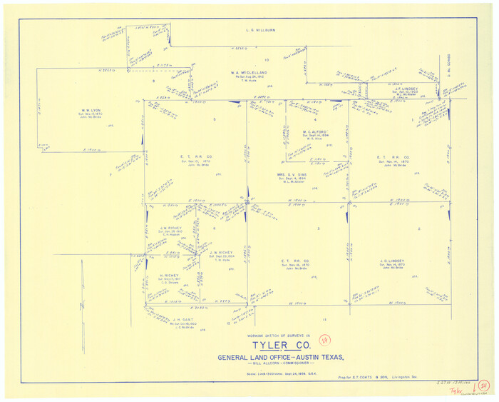 69484, Tyler County Working Sketch 14, General Map Collection