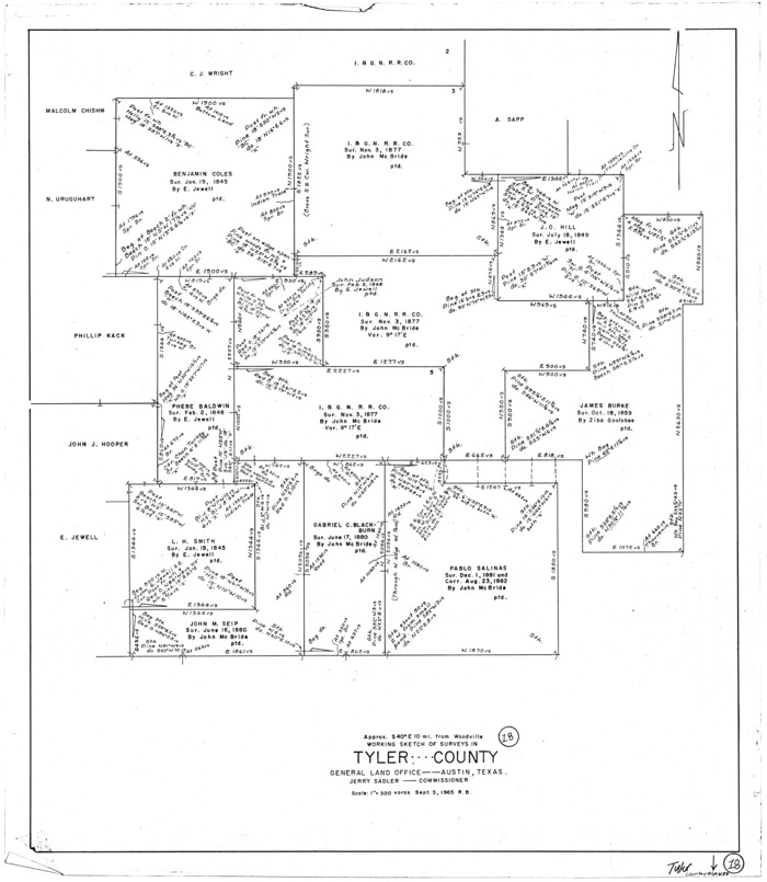 69488, Tyler County Working Sketch 18, General Map Collection