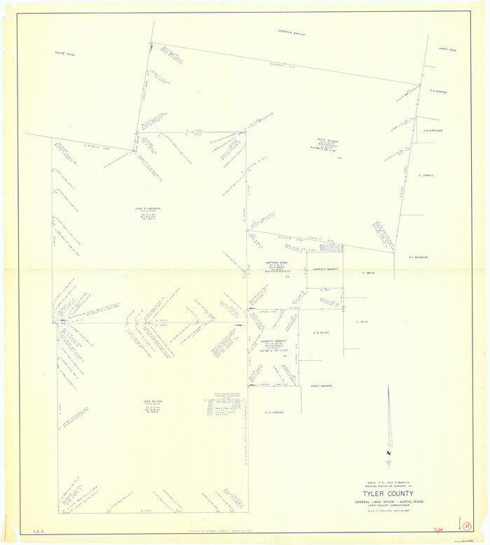 69489, Tyler County Working Sketch 19, General Map Collection