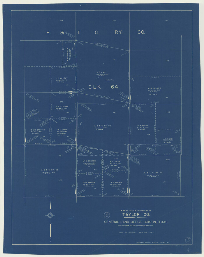 69615, Taylor County Working Sketch 5, General Map Collection