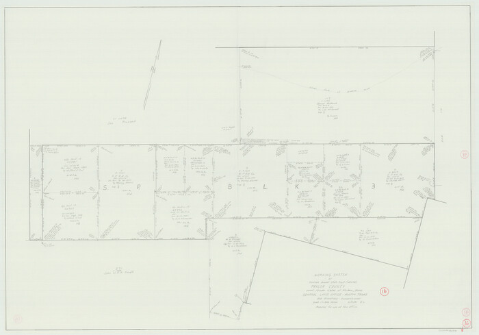 69626, Taylor County Working Sketch 16, General Map Collection