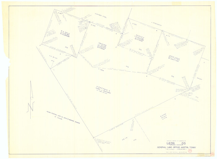 70429, Leon County Working Sketch 30, General Map Collection