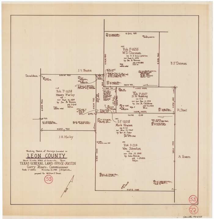 70455, Leon County Working Sketch 55, General Map Collection