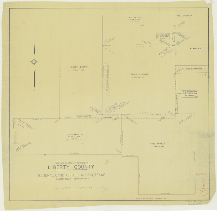 70495, Liberty County Working Sketch 36, General Map Collection