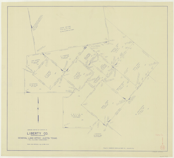 70513, Liberty County Working Sketch 53, General Map Collection