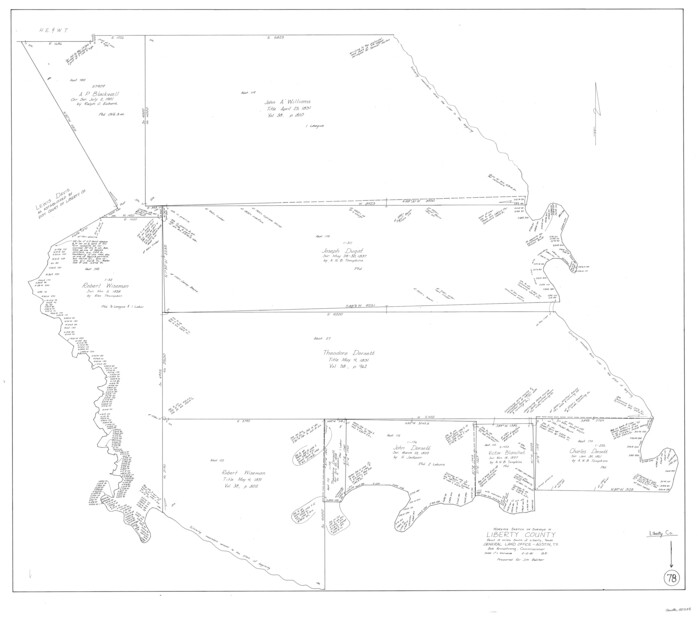 70538, Liberty County Working Sketch 78, General Map Collection